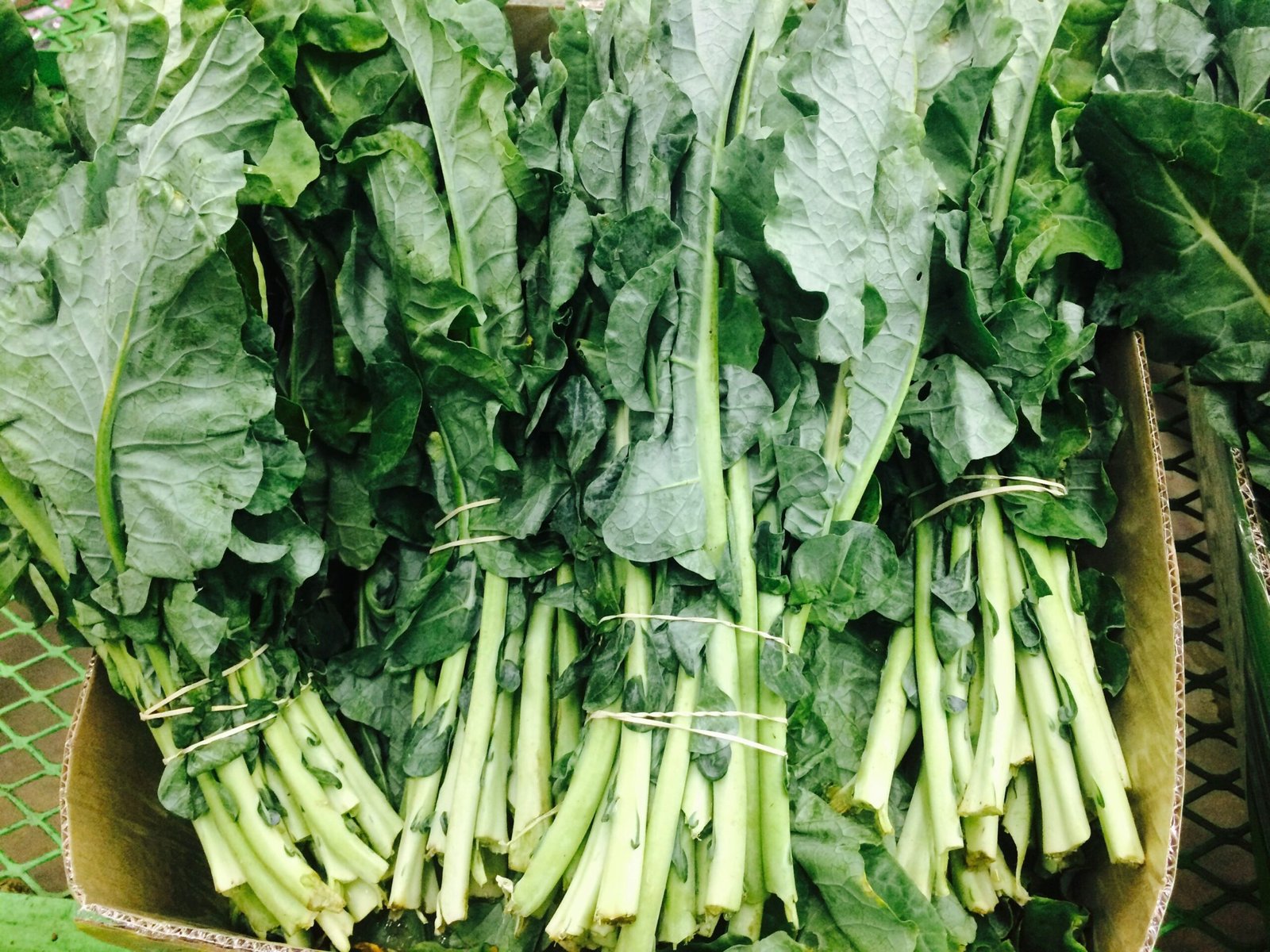 Vibrant fresh green leafy vegetables, a food group that genuinely supports natural liver function