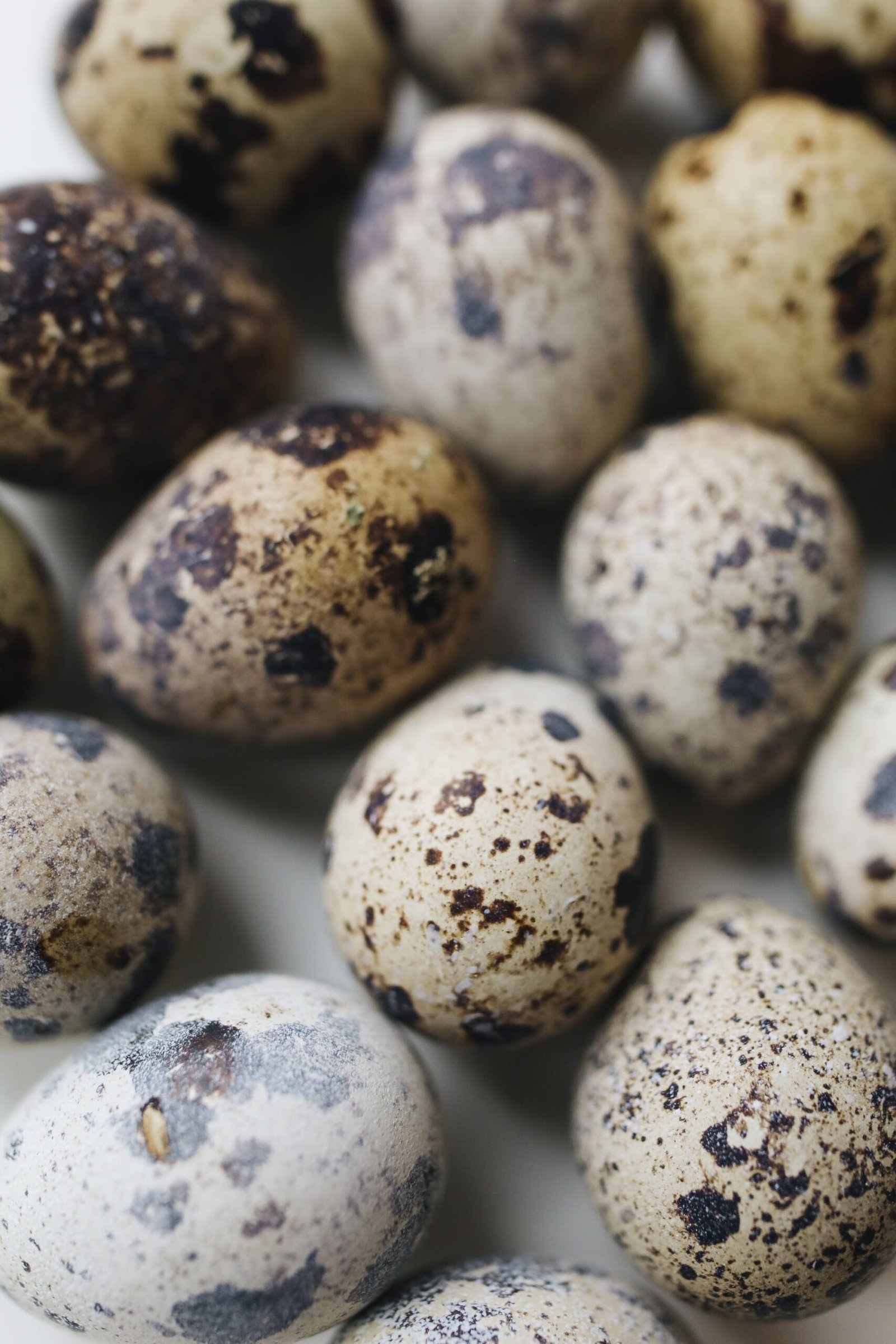 Detailed close-up of speckled quail eggs with textured shells